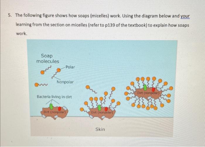 5. The following figure shows how soaps (micelles) work. Using the diagram below and your learning from the section on micell