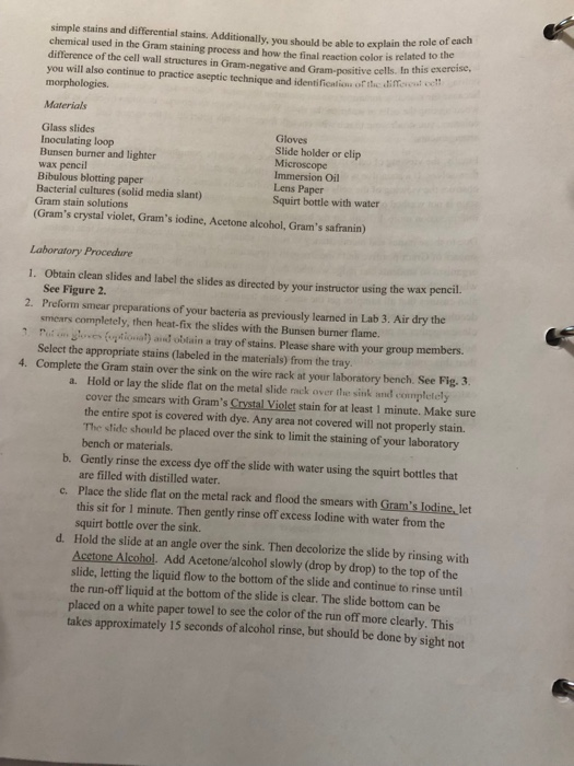 Solved 3 A Mixed Smear Of A 3 Day 72 Hour Culture Of S Chegg Com