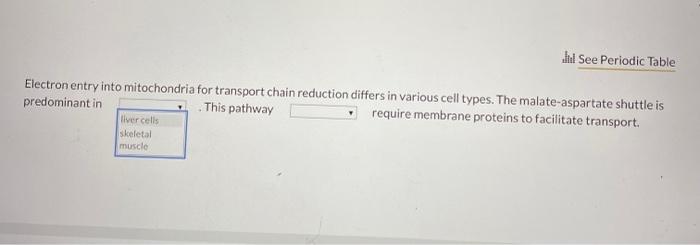 Solved Electron entry into mitochondria for transport chain | Chegg.com