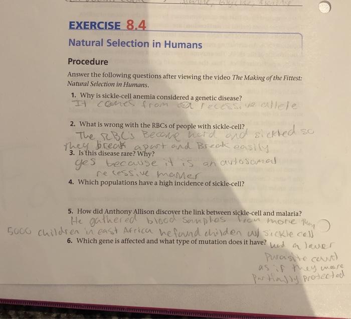 Solved Exercise 8 4 Natural Selection In Humans Procedure Chegg Com