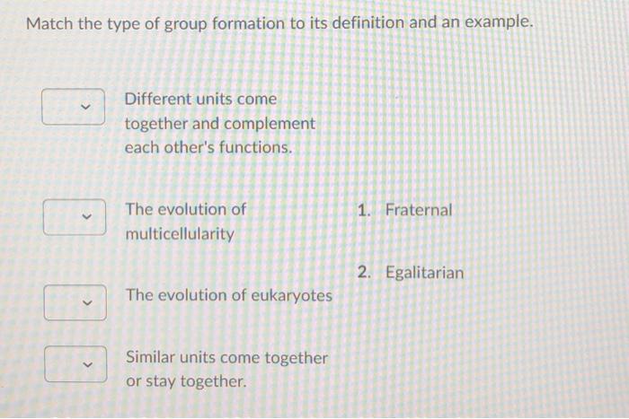 Solved Match the type of group formation to its definition | Chegg.com