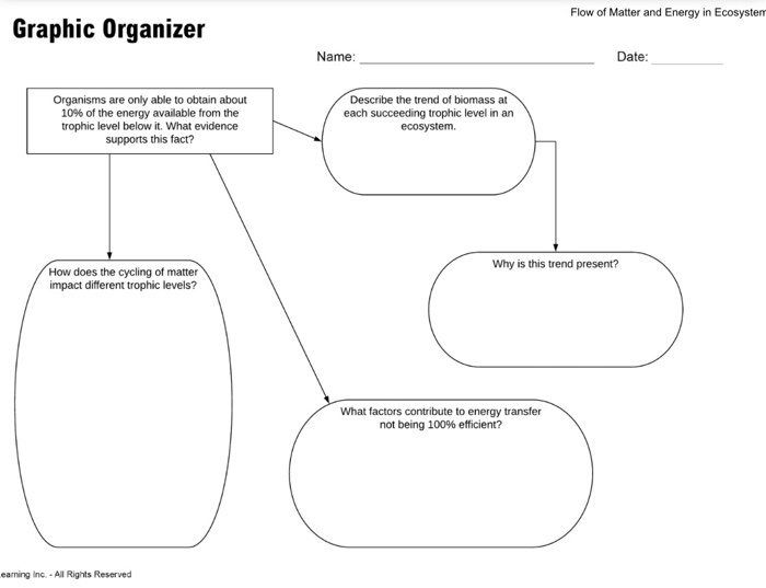 Trophic Levels - Graphic Organizer