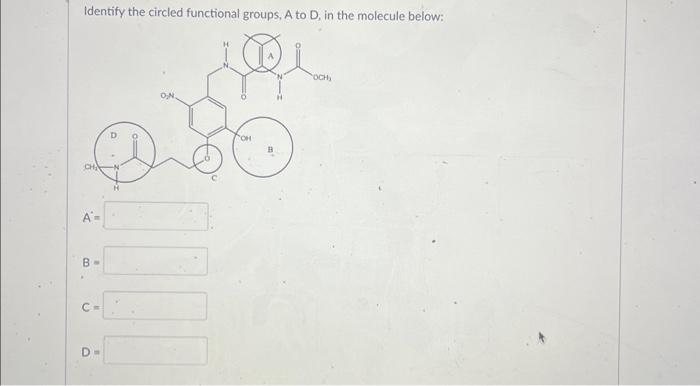 Solved Identify the circled functional groups, A to D, in | Chegg.com