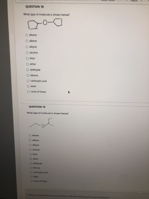 Solved QUESTION 18 What type of molecule is shown below? O | Chegg.com