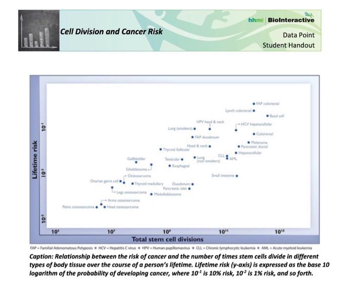 solved-cell-division-and-cancer-risk-data-point-student-chegg