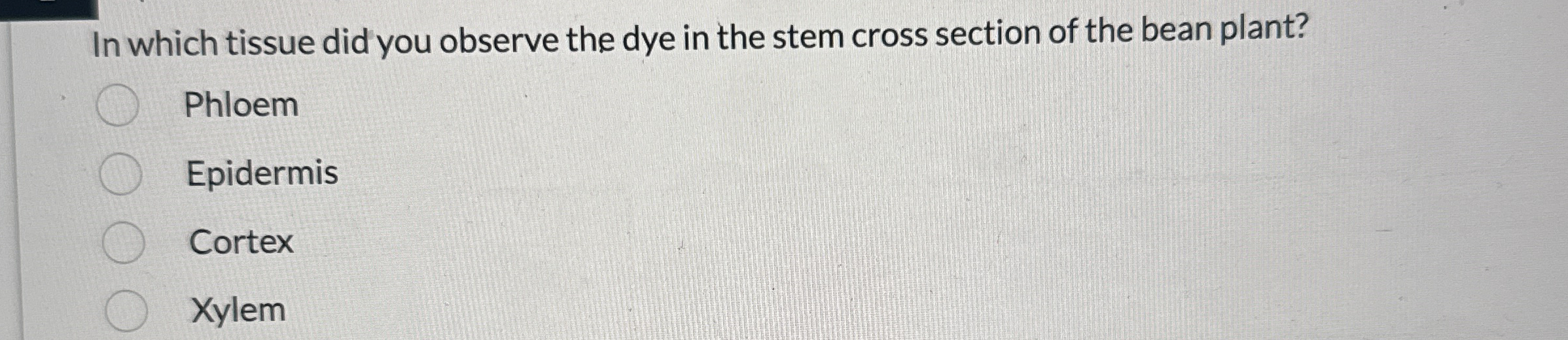 Solved In which tissue did you observe the dye in the stem
