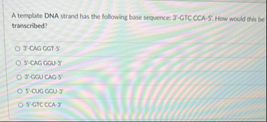 Solved A template DNA strand has the following base | Chegg.com