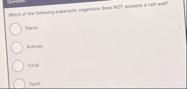 Solved Which of the following eukaryotic organisms does NOT | Chegg.com
