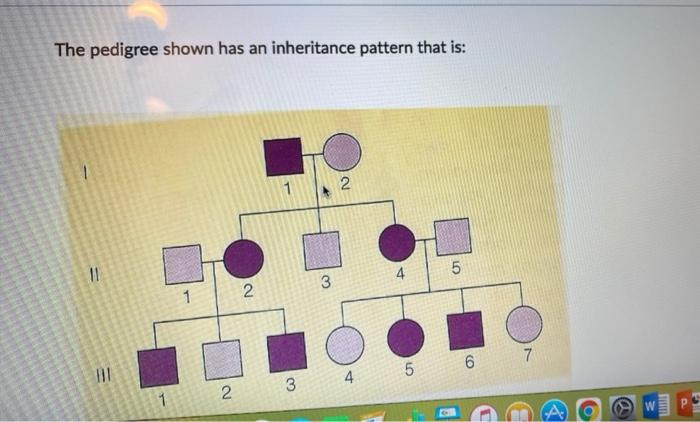 Solved The pedigree shown has an inheritance pattern that | Chegg.com