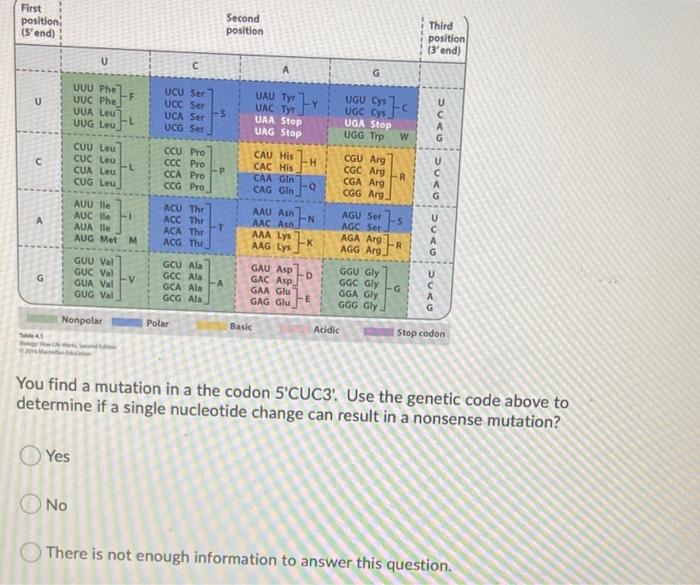 You find a mutation in a the codon 5'CUC3:. Use the | Chegg.com