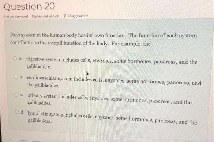 explain the overall function of the body system