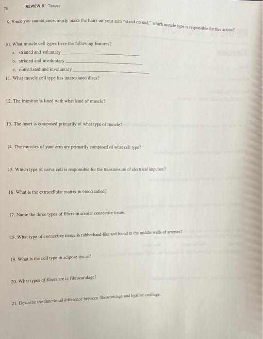 Solved EXERCISE REVIEW SECTION 5 Tissues Name Dune Lab | Chegg.com