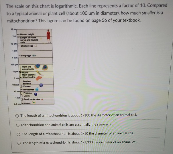 Solved The Scale On This Chart Is Logarithmic Each Line Chegg Com