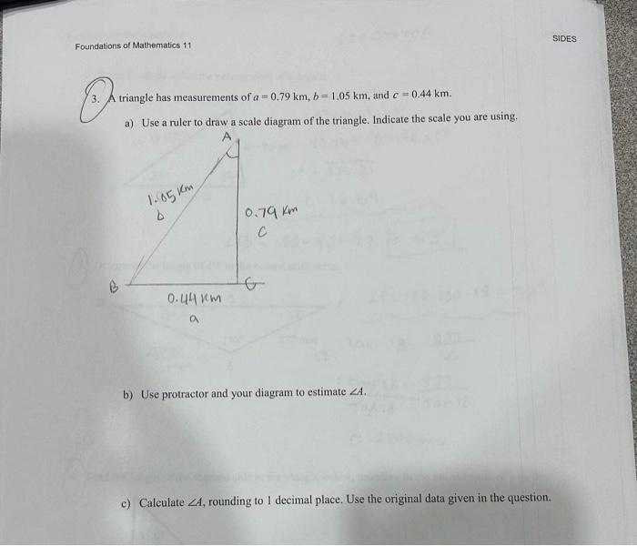 Foundation of Mathimatics 113. A triangle has | Chegg.com