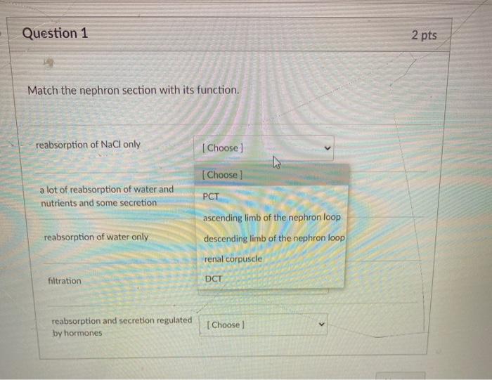 Solved Question 1 2 pts Match the nephron section with its | Chegg.com