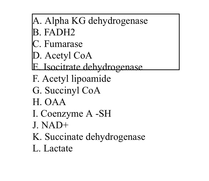 Solved 1 Membrane Bound Enzyme Shared Between Citric Aci Chegg Com