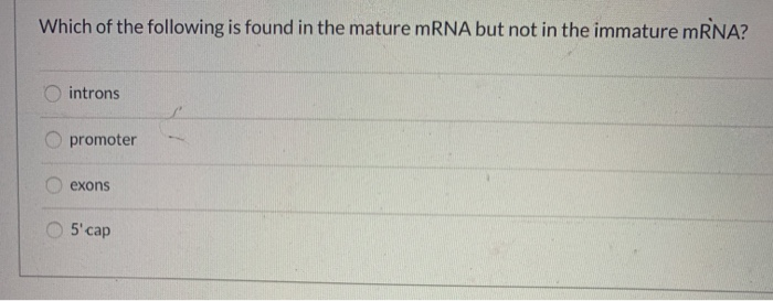 Solved Which of the following is found in the mature mRNA | Chegg.com
