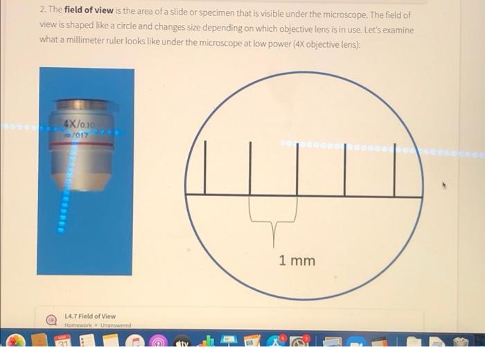 Microscale Slide, You can measure the size of the specimen while looking  through the microscope.