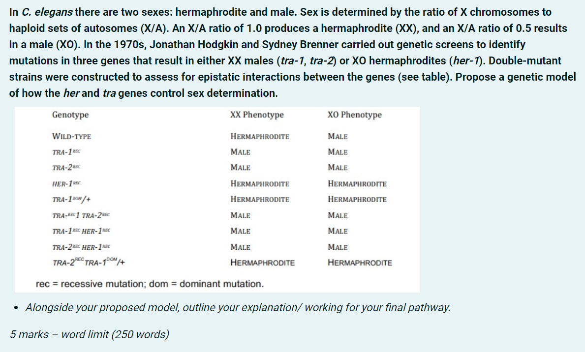 Solved In C. elegans there are two sexes: hermaphrodite and | Chegg.com