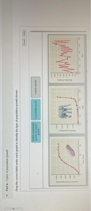 solved-part-a-types-of-population-growth-drag-the-correct-chegg