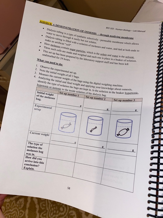 ap biology lab manual lab 111