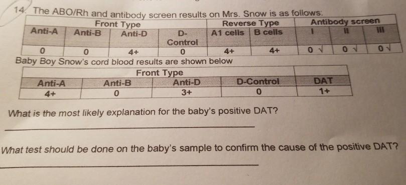 Solved 14. The ABO/Rh and antibody screen results on Mrs. | Chegg.com