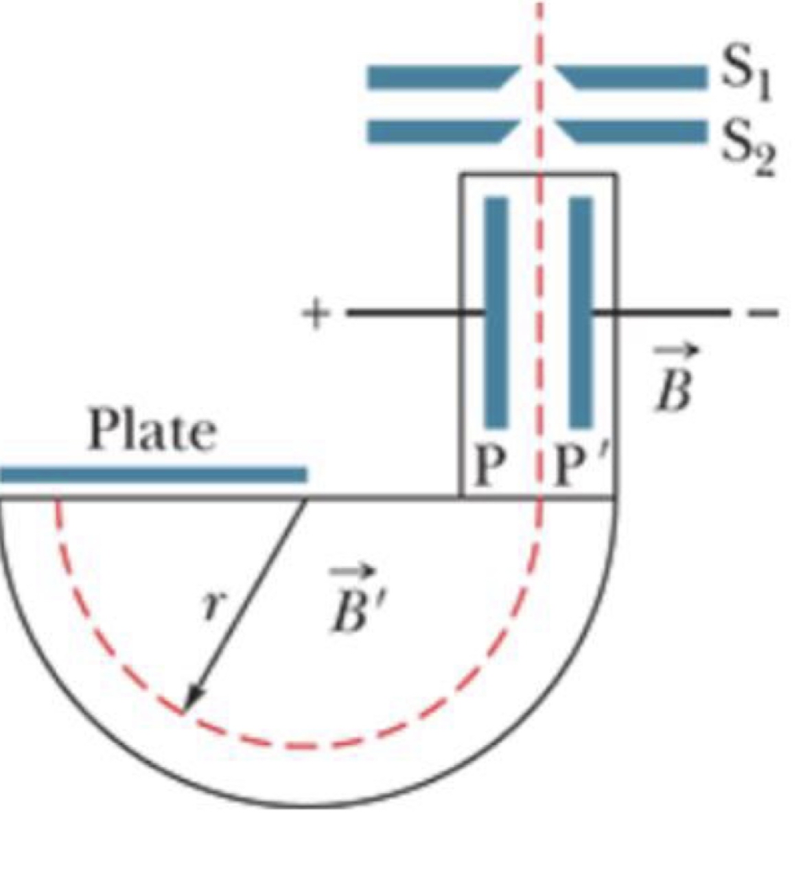Solved Bainbridges mass spectrometer, shown in the figure, | Chegg.com