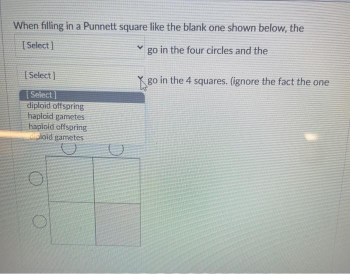 Solved When filling in a Punnett square like the blank one | Chegg.com