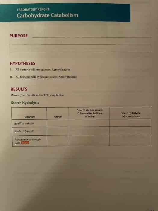 Laboratory Report Carbohydrate Catabolism Purpose Chegg 