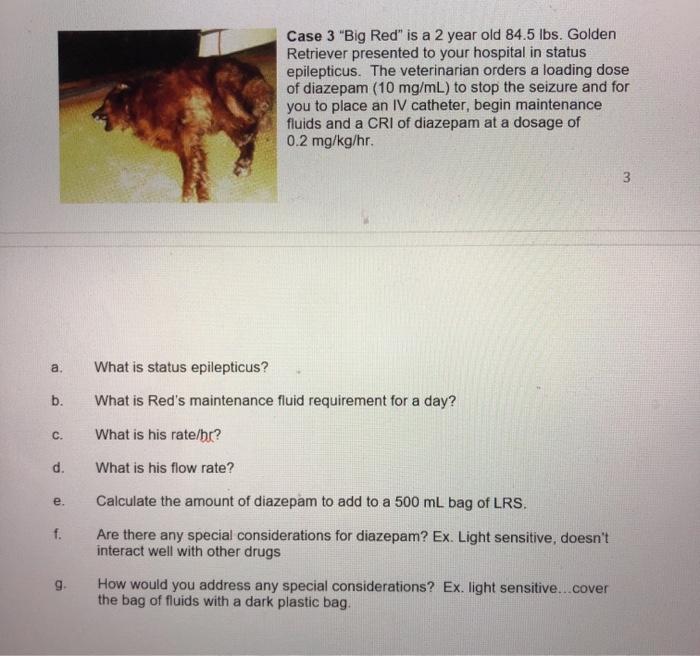 Case 3 Big Red is a 2 year old 84.5 lbs. Golden Retriever presented to your hospital in status epilepticus. The veterinaria