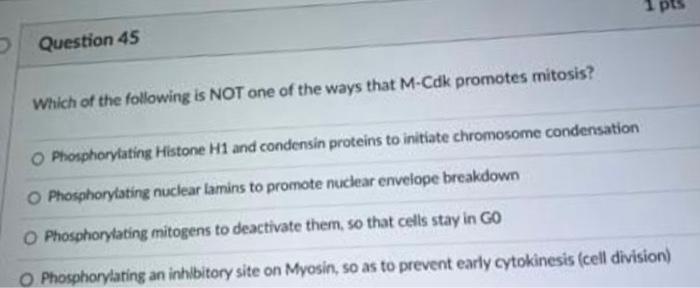 1 pts
Question 45
Which of the following is NOT one of the ways that M-Cdk promotes mitosis?
Phosphorylating Histone H1 and c