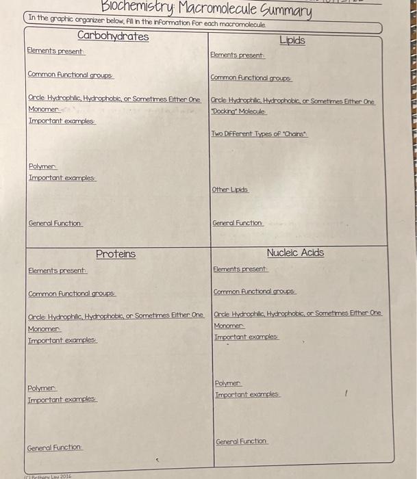 Biochemistry: Macromolecule Gummary
In the graphic organzer below, fll in the information for each macromolecule.