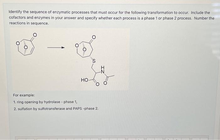 Solved Identify the sequence of enzymatic processes that | Chegg.com