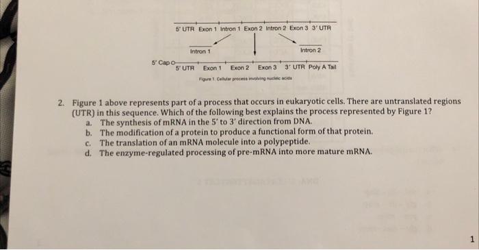 Solved 2. Figure 1 above represents part of a process that | Chegg.com