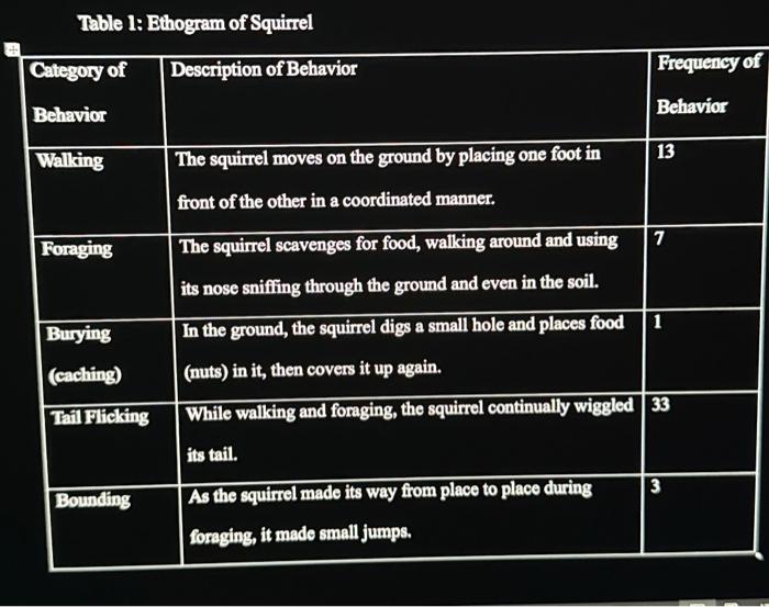 Table 1: Ethogram of Squirrel | Chegg.com