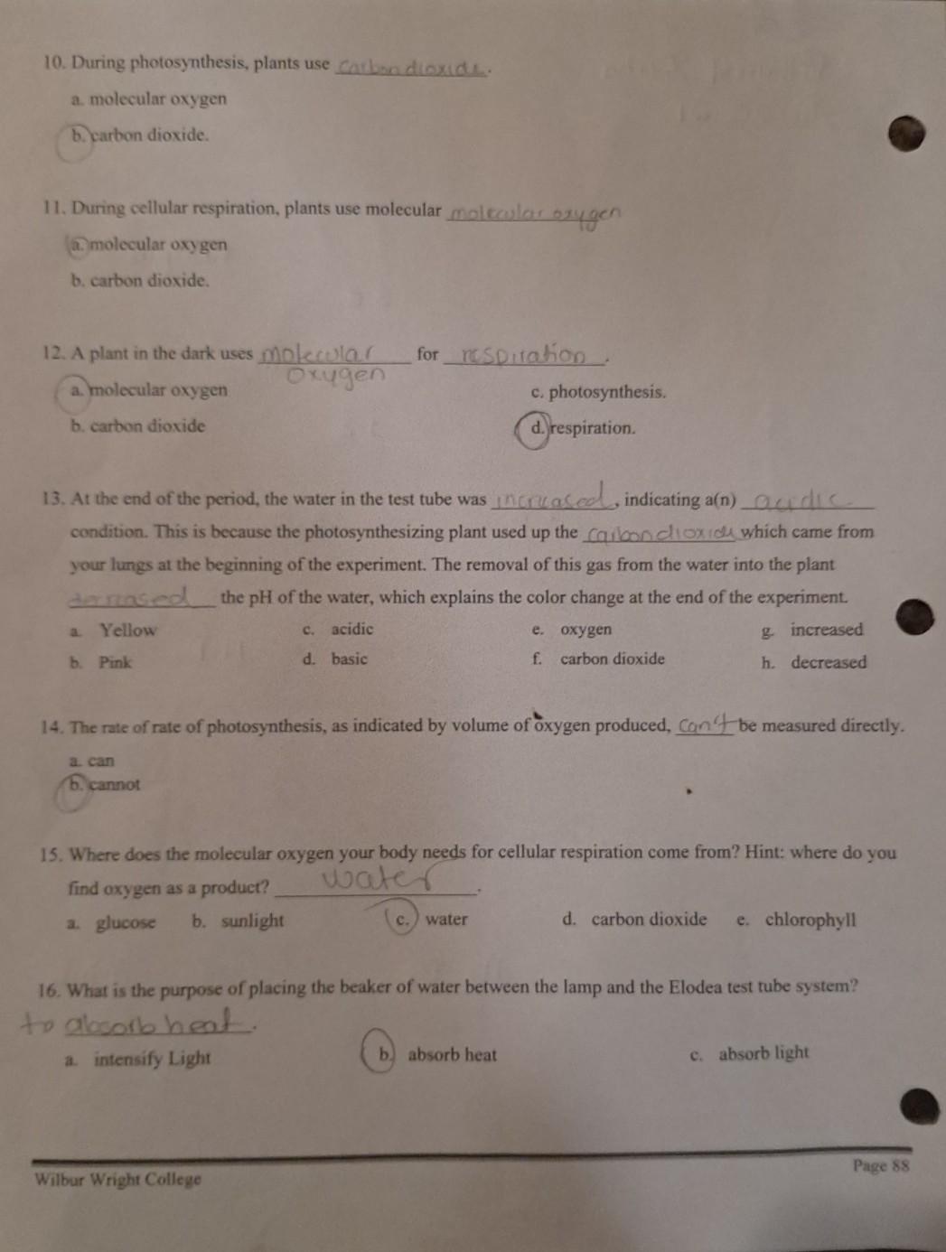 solved-10-during-photosynthesis-plants-use-carbon-dioxide-chegg