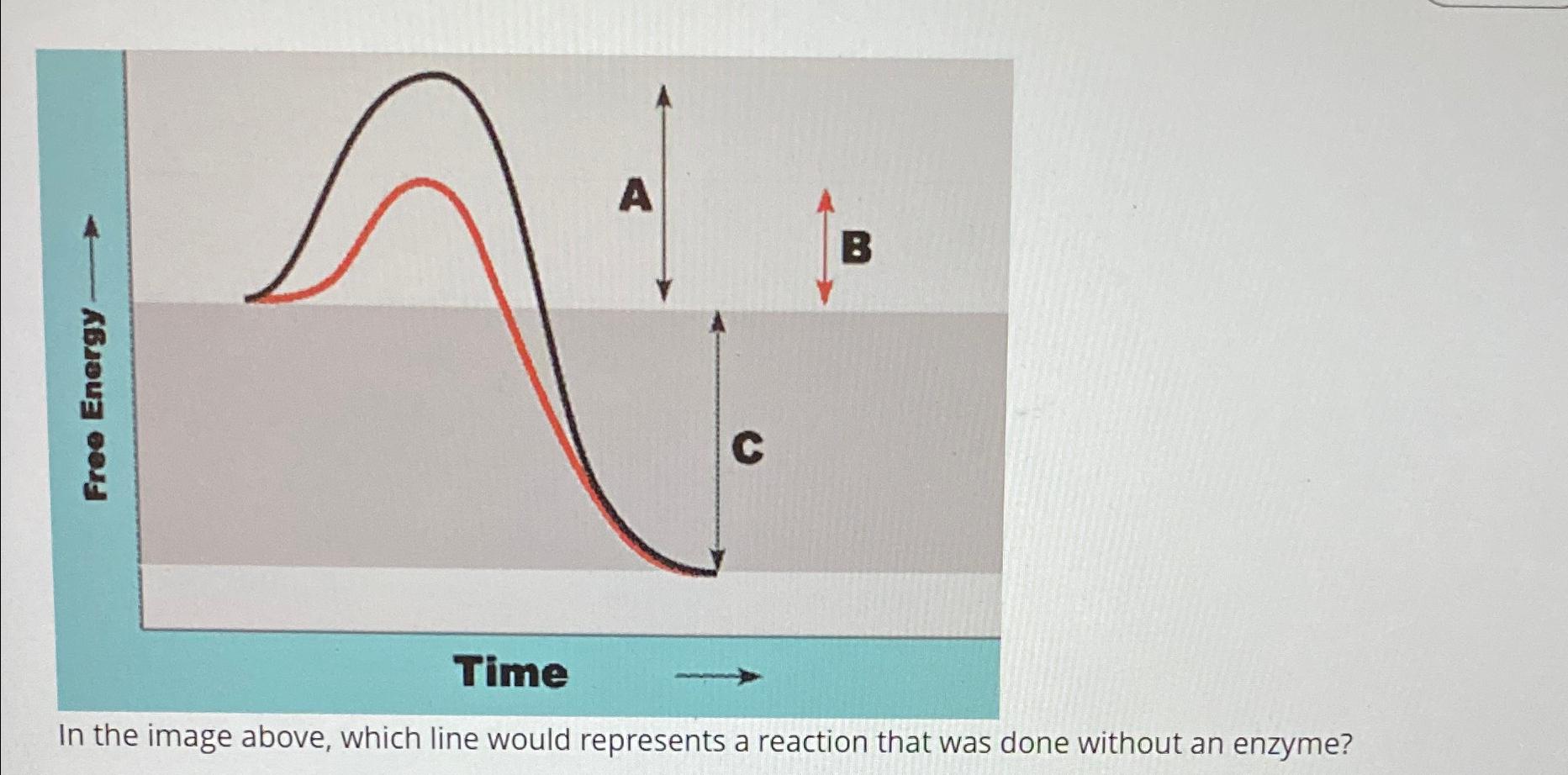 Solved In the image above, which line would represents a | Chegg.com
