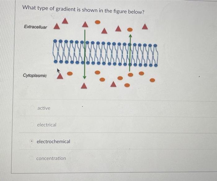 Solved What type of gradient is shown in the figure below? | Chegg.com