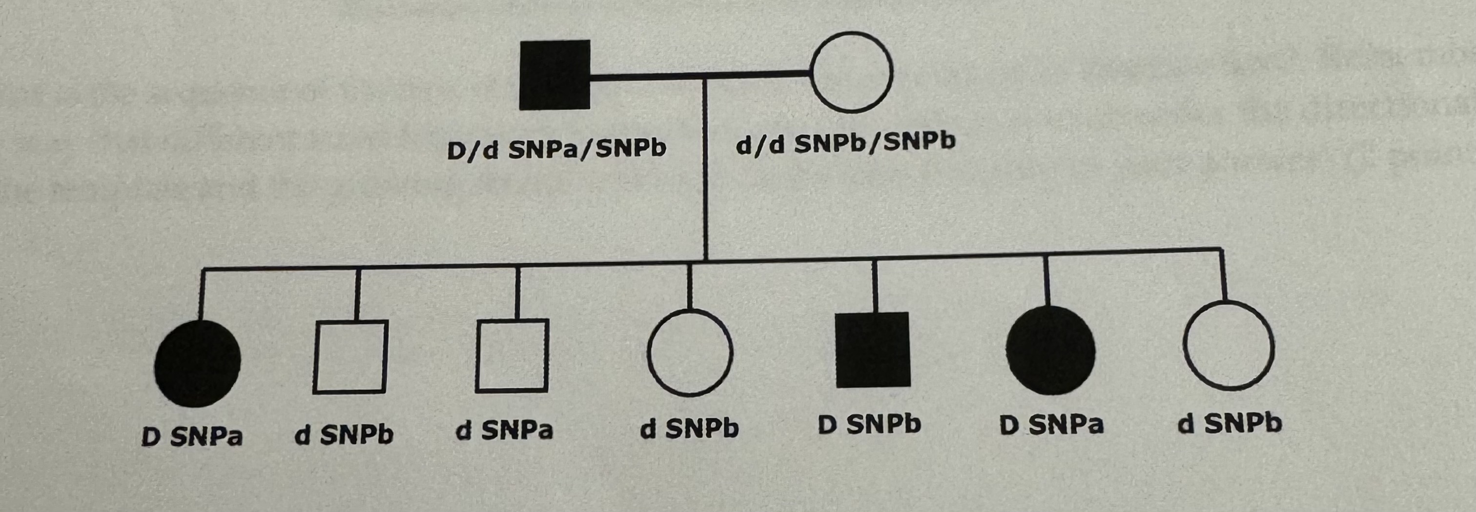 Solved Assume That Mutant Phenotype Is Dominant In The | Chegg.com