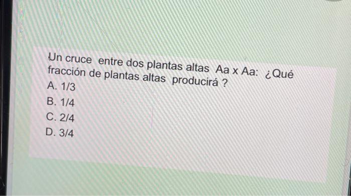 Un cruce entre dos plantas altas Aa x Aa: ¿Qué fracción de plantas altas producirá ? A. 1/3 B. 1/4 C. 2/4 D. 3/4