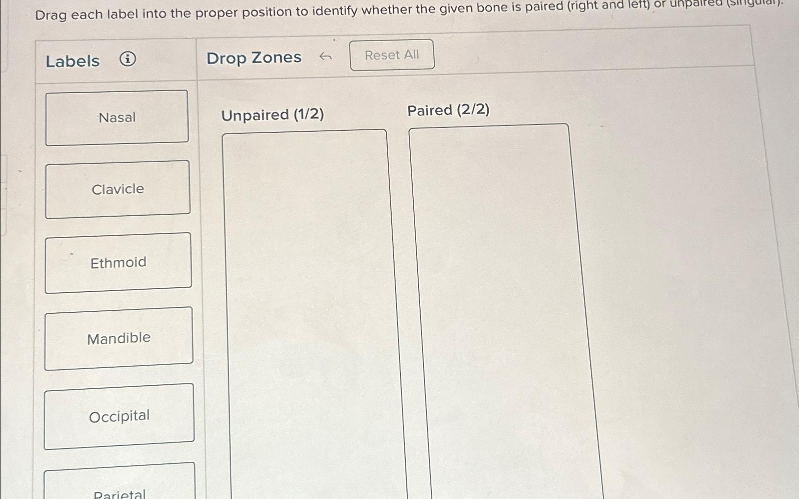 Solved Drag each label into the proper position to identify | Chegg.com