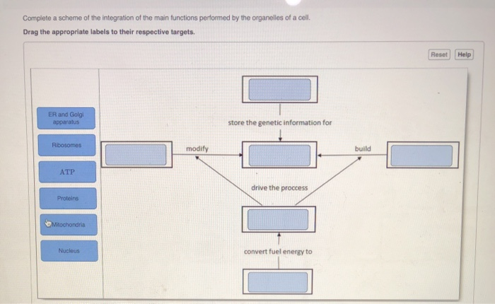 solved-complete-a-scheme-of-the-integration-of-the-main-chegg