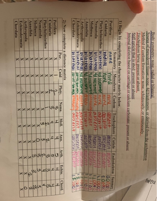 Solved use data from distance matrix to complete both