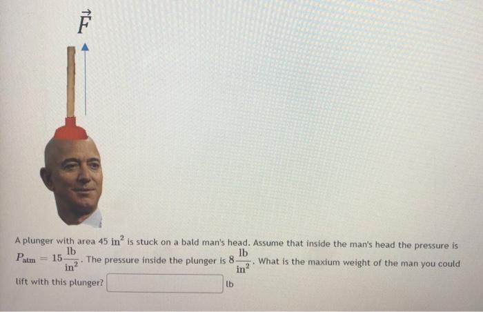 Plunger On Bald Head