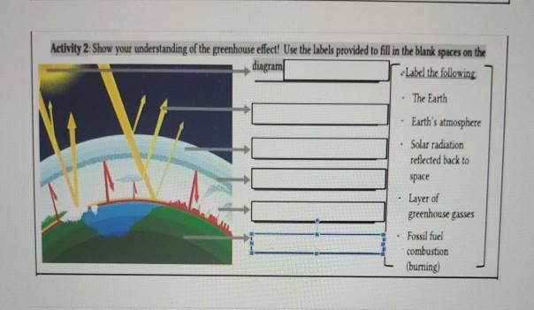 Solved Activity 2 Show Your Understanding Of The Greenhouse Chegg Com