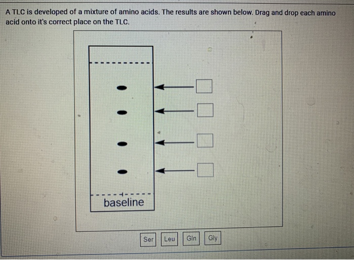 Solved A TLC is developed of a mixture of amino acids. The