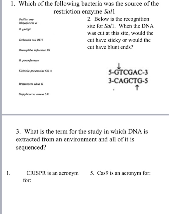 Solved Bacillus amy 1. Which of the following bacteria was | Chegg.com