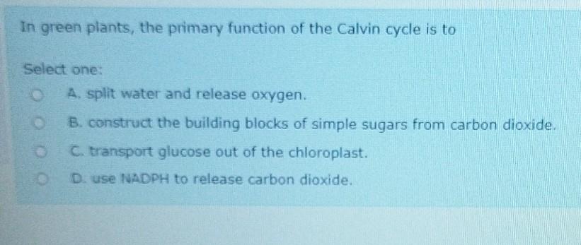 Solved In green plants, the primary function of the Calvin | Chegg.com