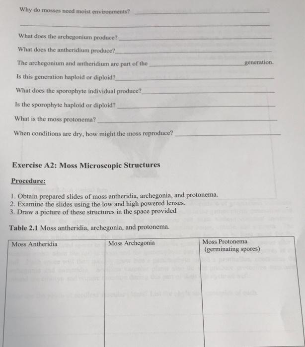 Solved Why do mosses need moist environments? What does the