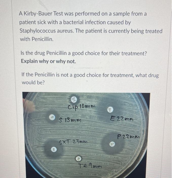 A Kirby-Bauer Test was performed on a sample from a patient sick with a bacterial infection caused by Staphylococcus aureus.